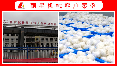 甘肃聚春园引进开云·Kaiyun体育
水晶粉丝生产线、酸辣粉加工设备正式投产