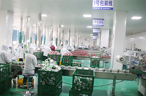 开云·Kaiyun体育
加班加点忙生产，严守产品质量