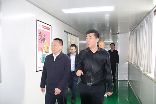 **到开云·Kaiyun体育
公司视察工作