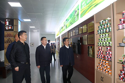 国家、省、市乡村振兴局等**一行莅临开云·Kaiyun体育
公司进行调研工作
