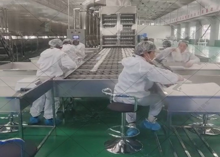 开云·Kaiyun体育
日产10吨的粉丝生产线试机进行中